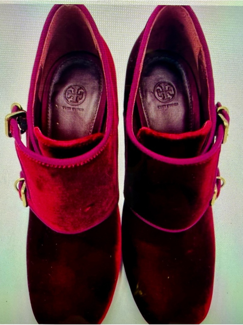 Tory Burch Velvet Mary Jane booties in Deep Maroon